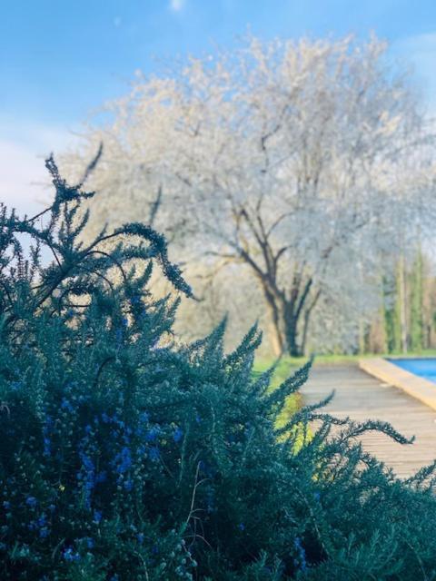 Отель La Maison D' Hote Du Fond Du Riu Allemans-du-Dropt Экстерьер фото